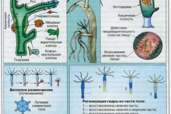 Зеркала кракен kraken014 com kraken014 com