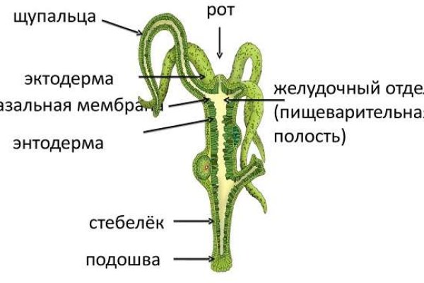 Актуальная ссылка на кракен