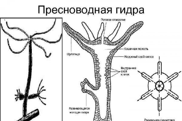 Как вернуть аккаунт на кракене