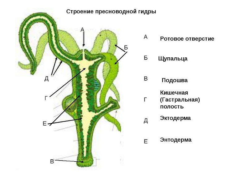 Ссылка на кракен тор kraken014 com